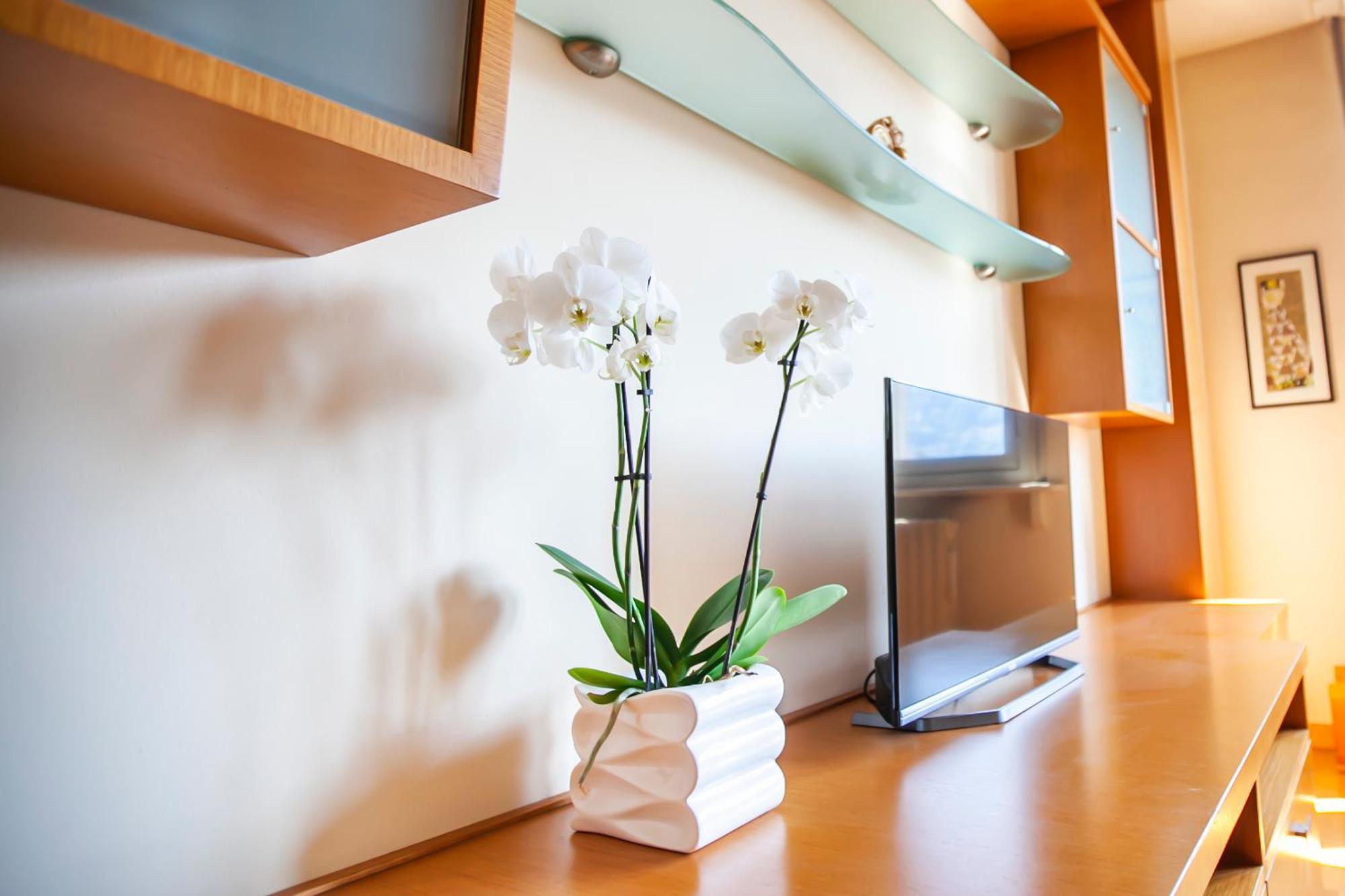 Skyline Apartment Como Exterior photo